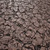 Alien Skin 7868 - Image 2