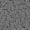 Alien Skin 7868 - Image 12