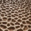 Alien Stone 7855 - Image 2
