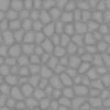 Alien Stone 7855 - Image 5