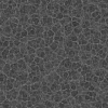 Alien Tissue 7843 - Image 12