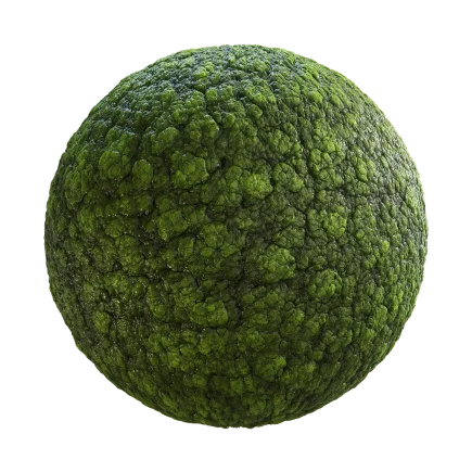 Alien Tissue 7845