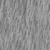 Alien Tree Bark 7861 - Image 5