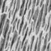 Alien Tree Bark 7861 - Image 6