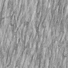 Alien Tree Bark 7861 - Image 12