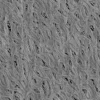 Alien Tree Bark 7863 - Image 12