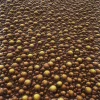 Brown Alien Eggs 7847 - Image 2