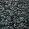 Bulbous Alien Skin 7872 - Image 2