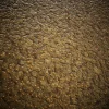 Infected Alien Skin 7827 - Image 2
