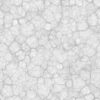Raw Flesh 7836 - Image 5