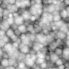 Raw Flesh 7836 - Image 6
