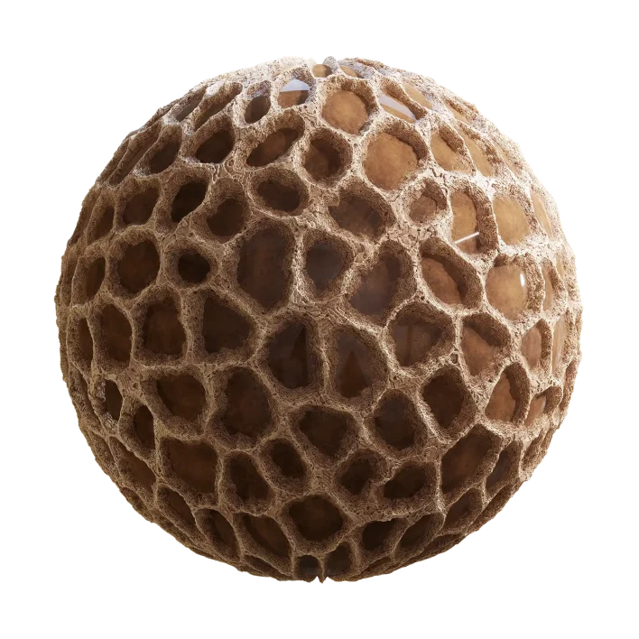 Wet Alien Stone 7856