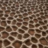 Wet Alien Stone 7856 - Image 2