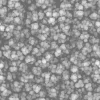Wet Alien Tissue 7844 - Image 6