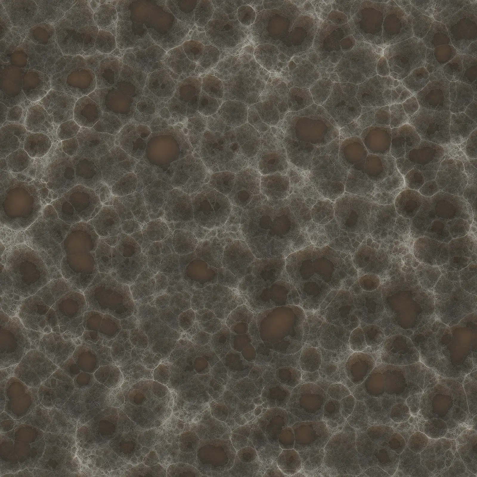 Wet Porous Rock 7908 - Image 4