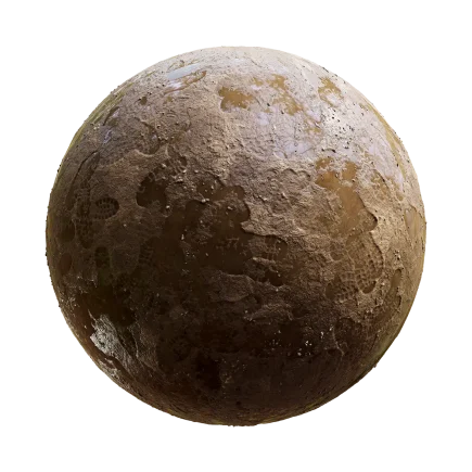 Brown Wet Mud Footprints