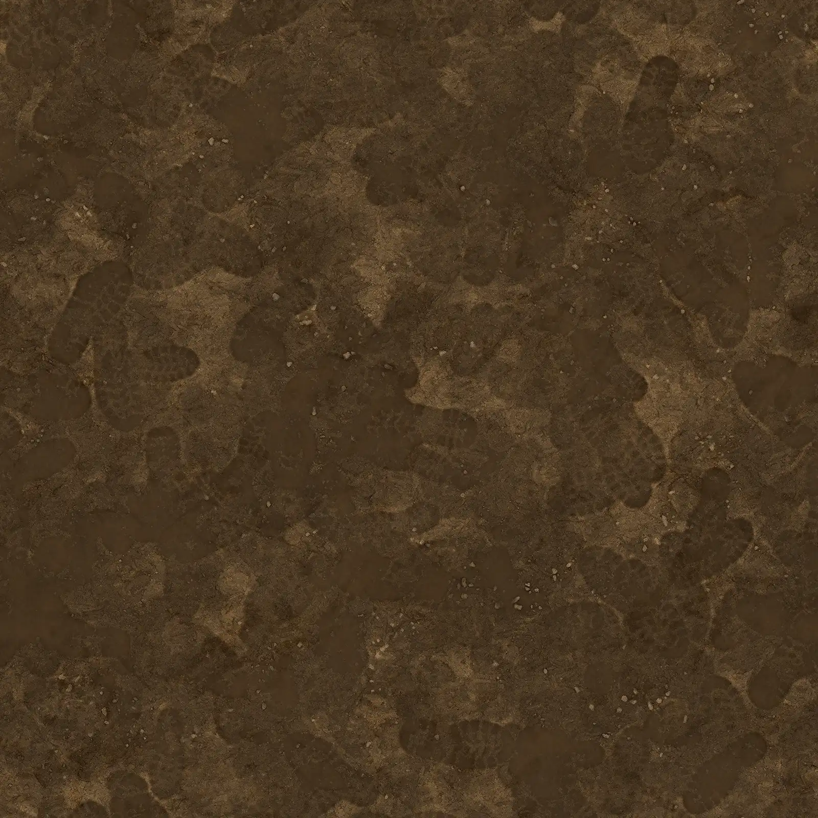 Brown Wet Mud Footprints 8013 - Image 4