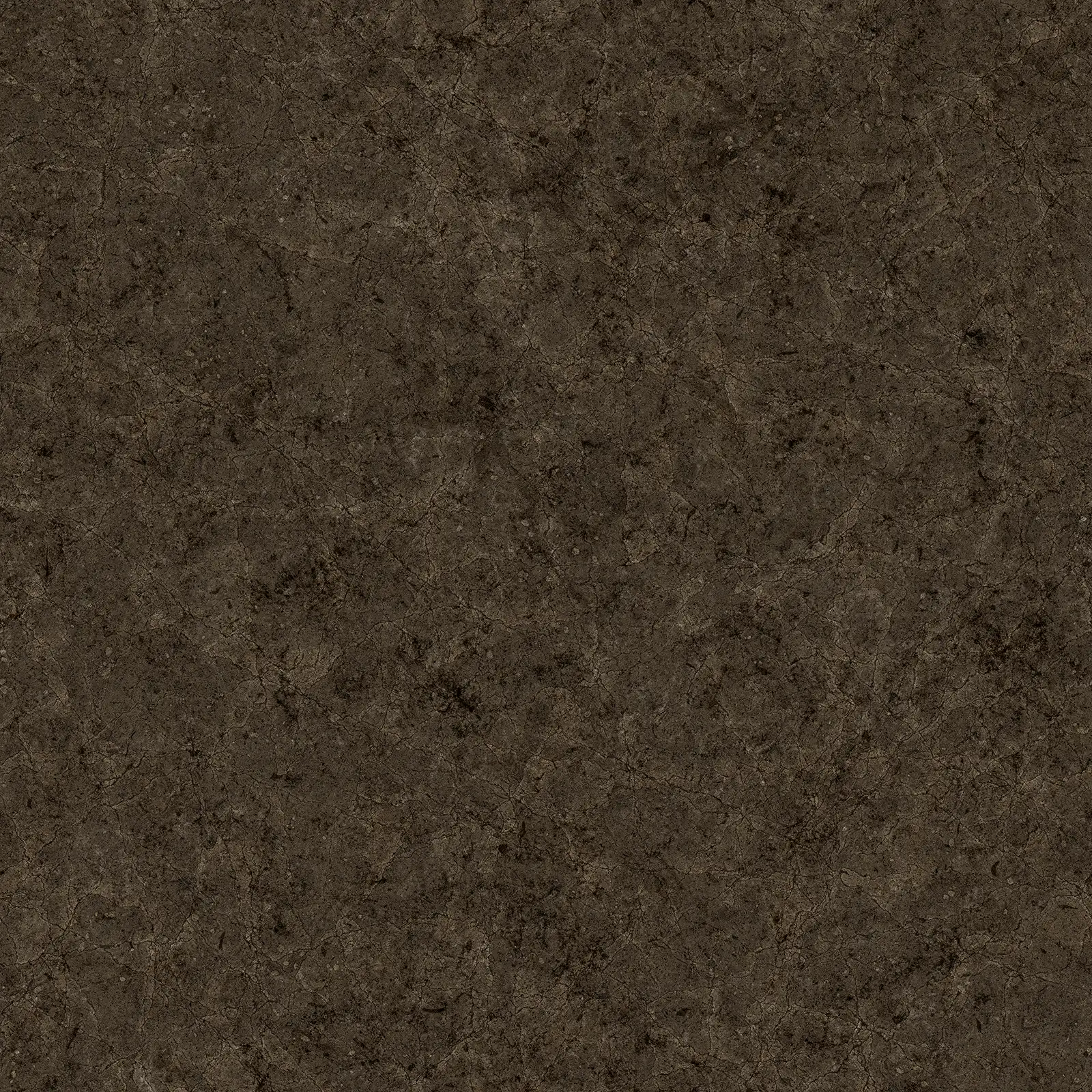 Dry Cracked Dark Ground 8018 - Image 4