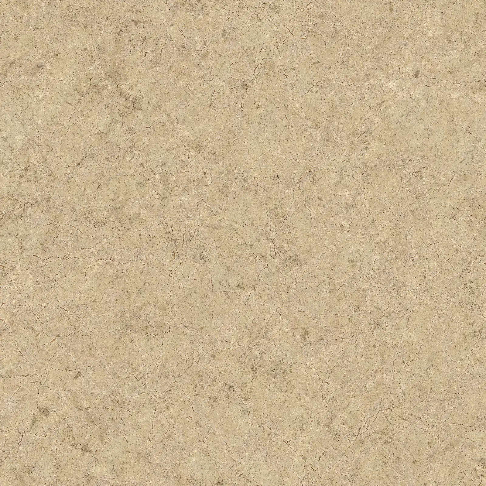 Dry Cracked Yellow Ground 8017 - Image 4