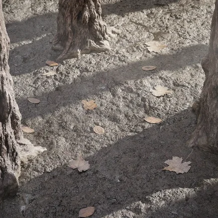 Ground Materials & Dry Leaves