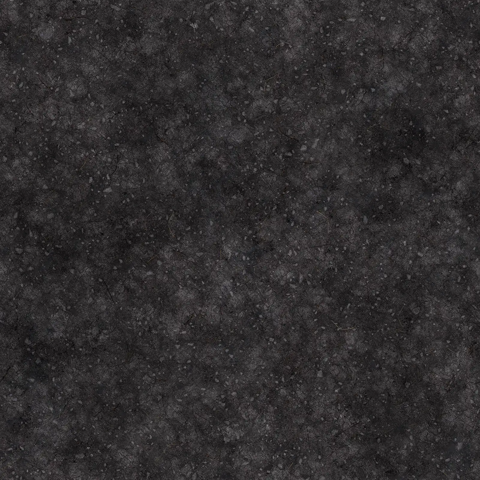 Slighty Wet Dark Ground 8046 - Image 4