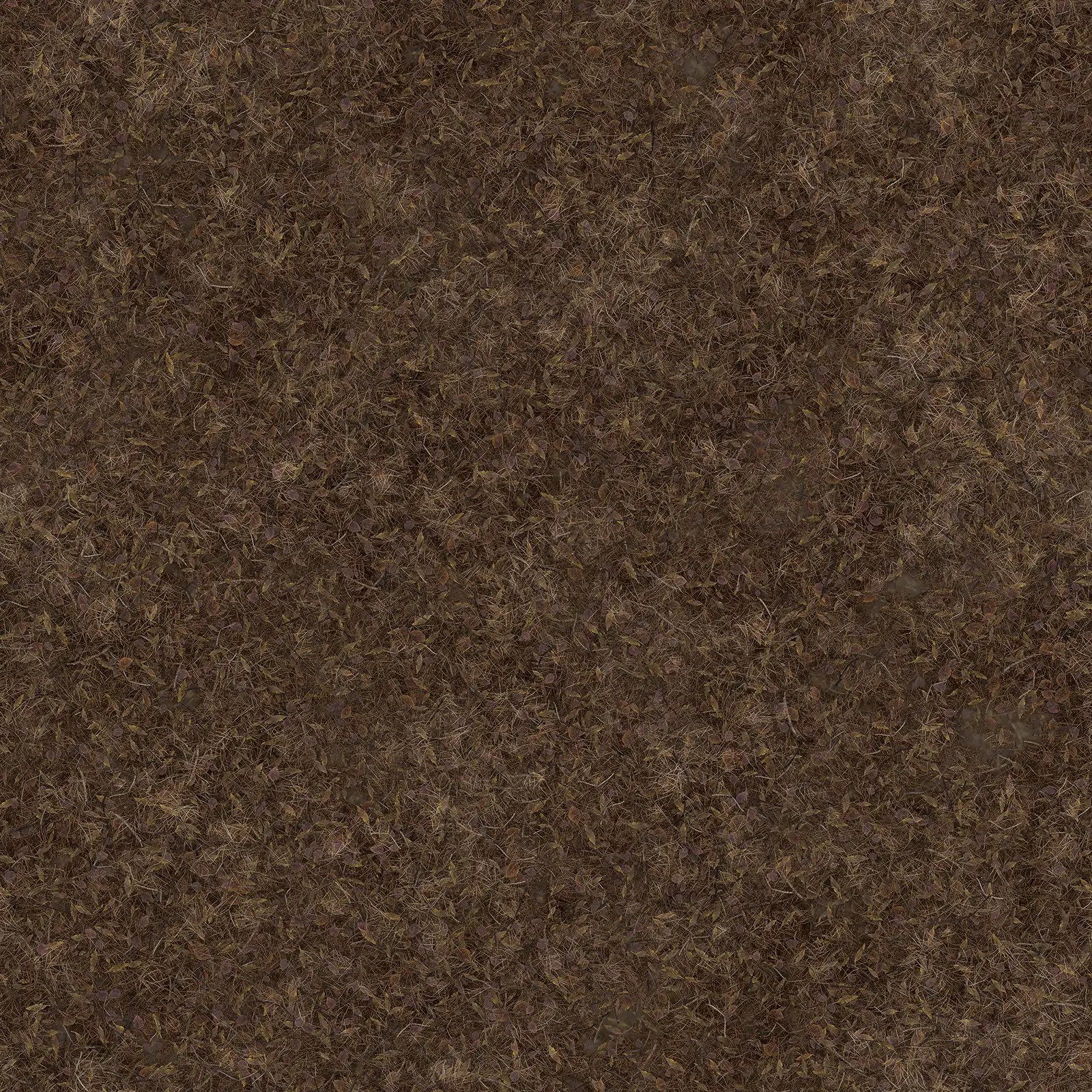 Wet Forest Ground 8038 - Image 4