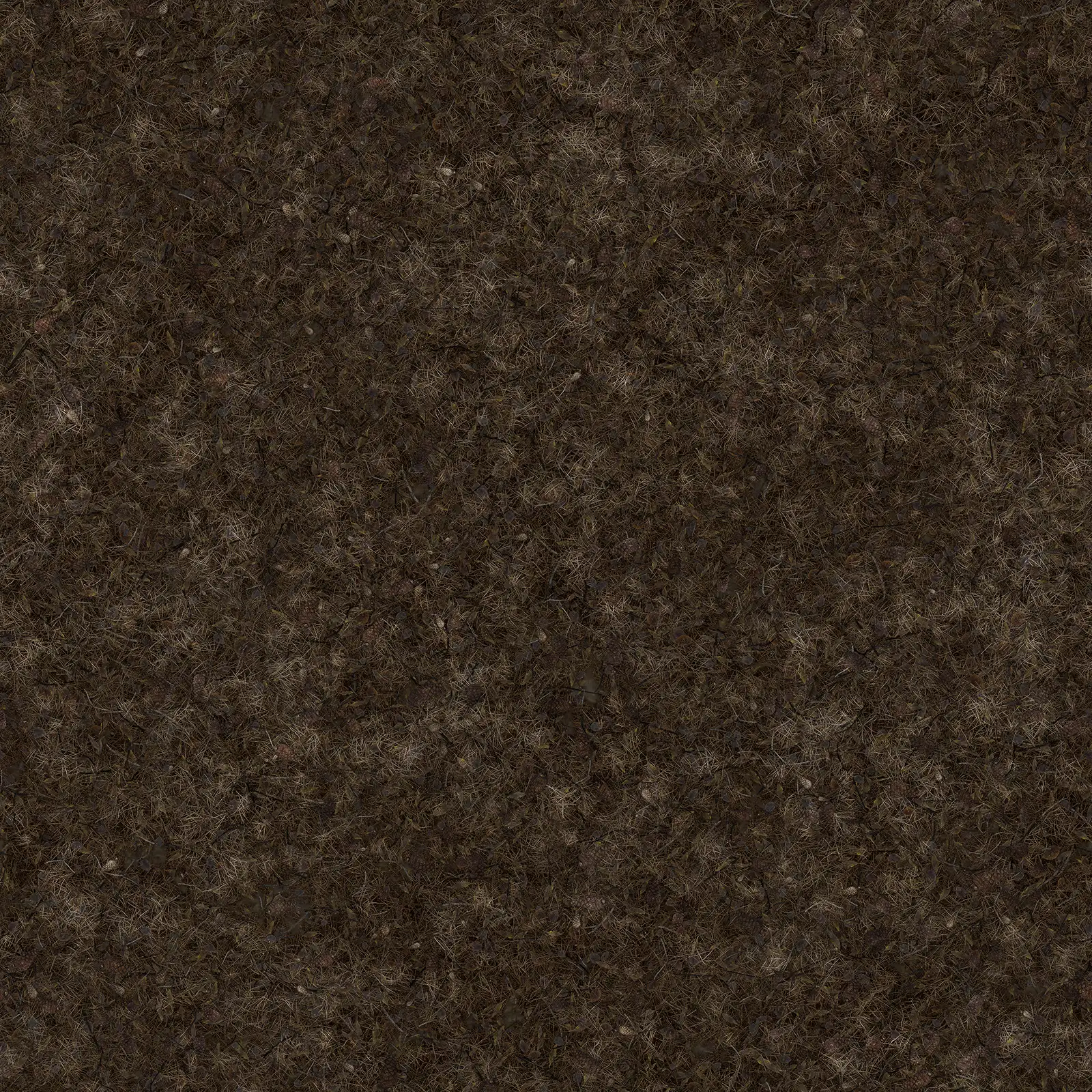 Wet Forest Ground 8040 - Image 4