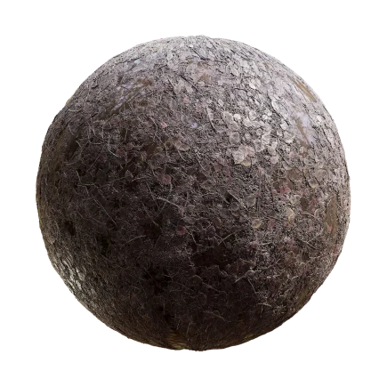 Wet Leaf and Sticks Ground