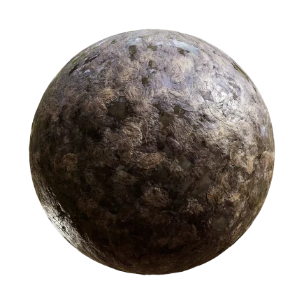 Wet Leaves Ground 8088