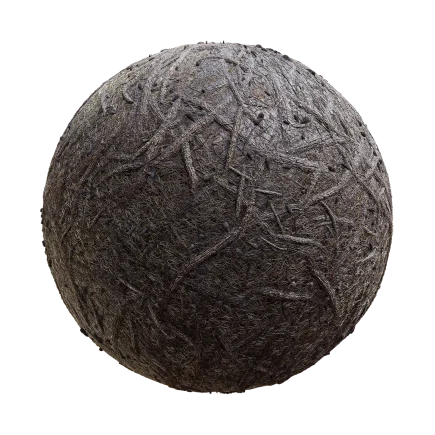 Wet Tree Roots Ground