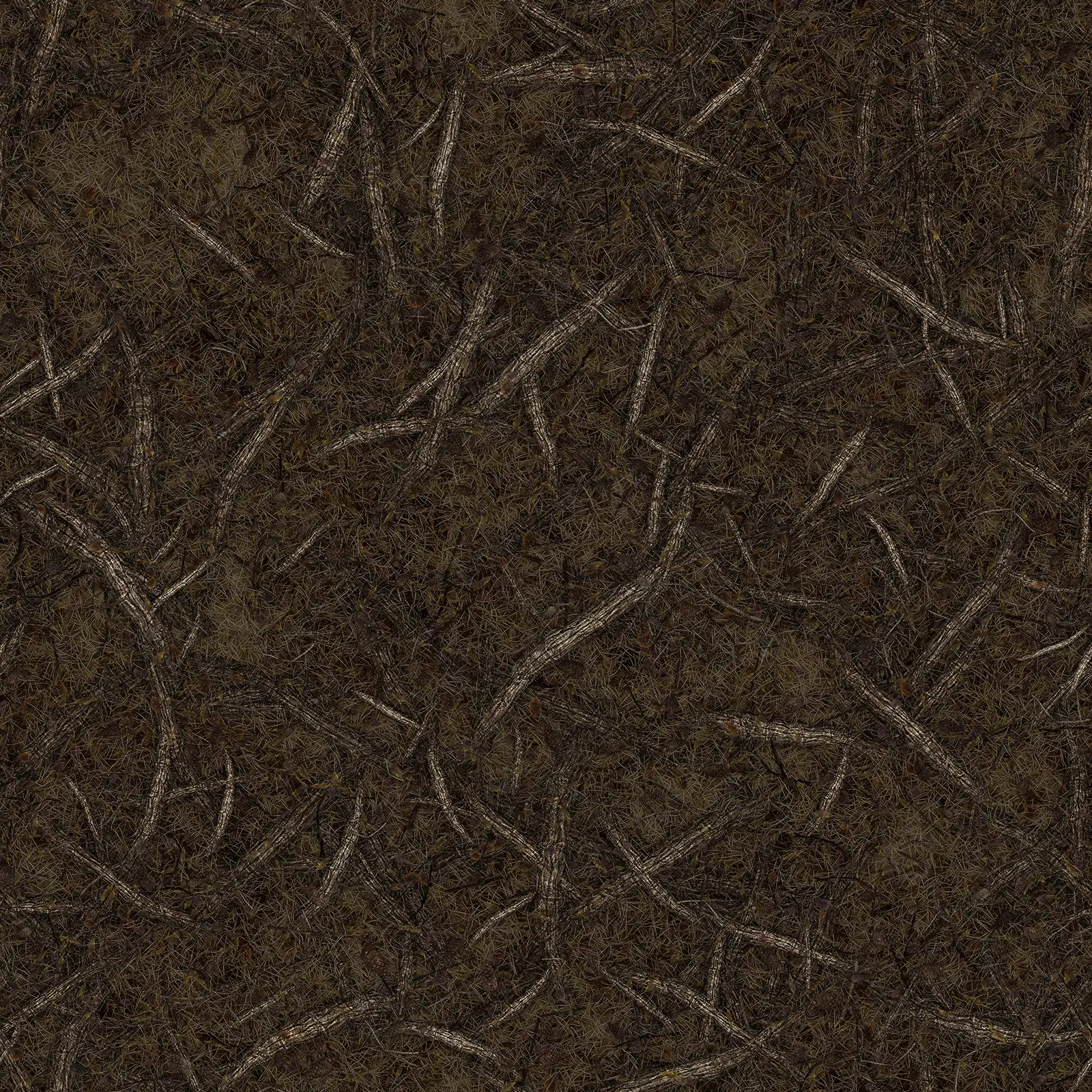 Wet Tree Roots Ground 8044 - Image 4