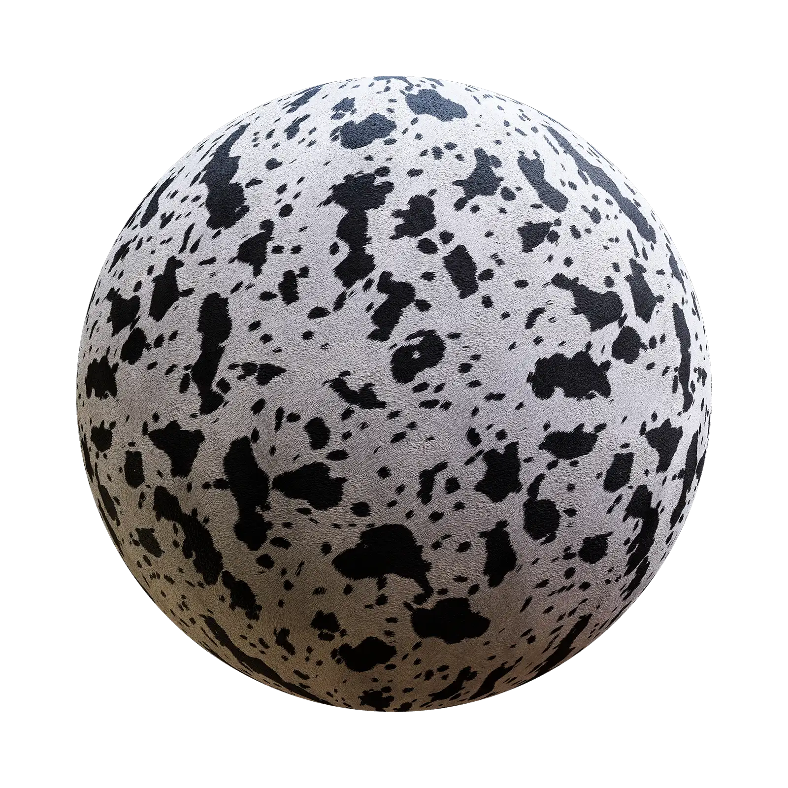 Black White Cow Fur 85 05