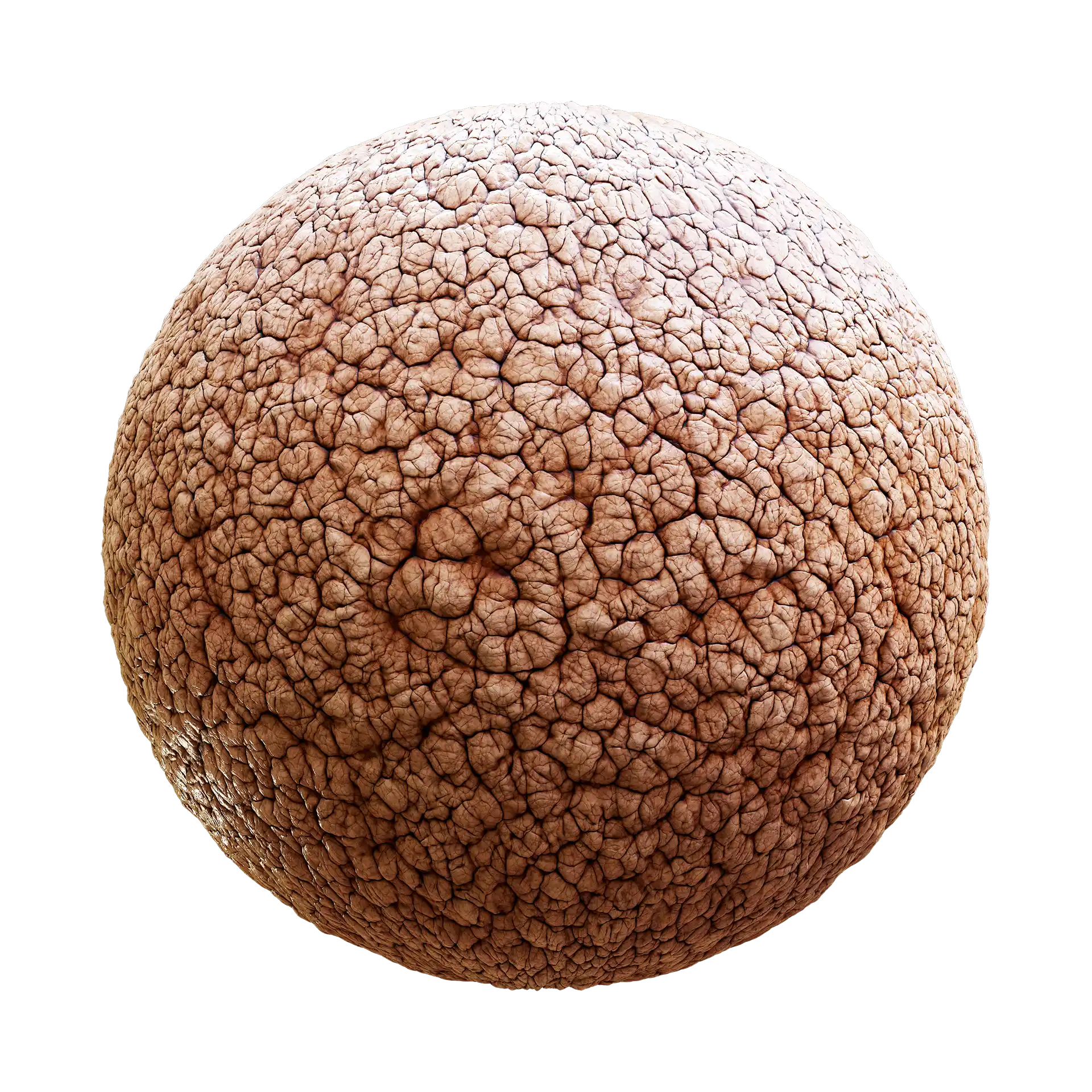 Beige Wrinkled Flesh 86 21